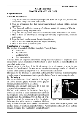 Baiology Form II ( Last) (1).pdf
